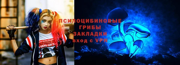 спайс Надым