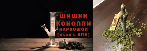 мдпв Михайловск